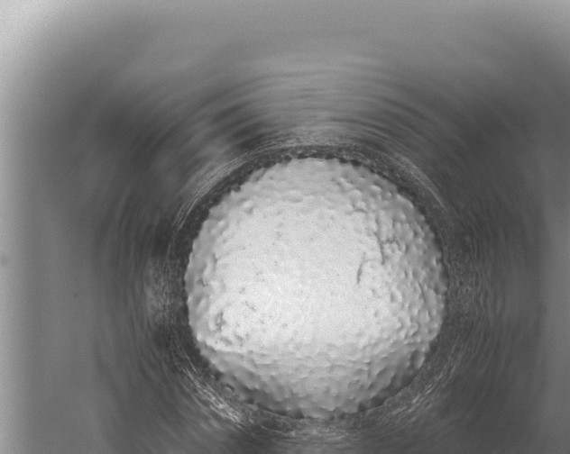 X0000059800874200510281636