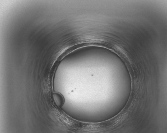 X0000059800875200510281636