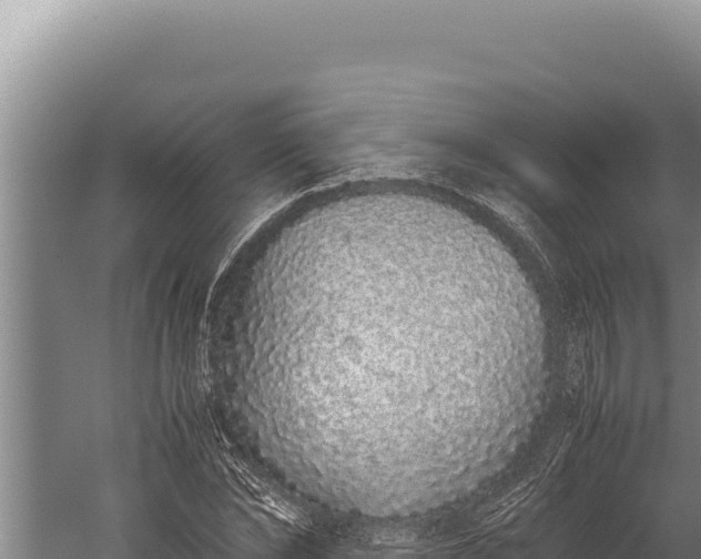 X0000059800878200510281636