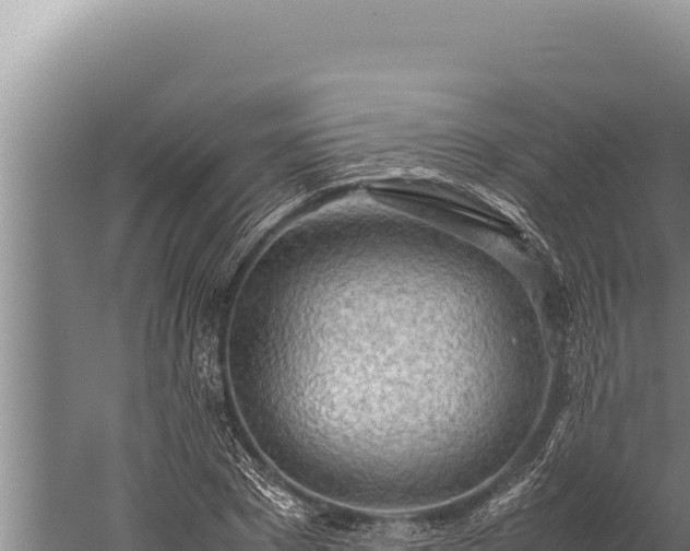 X0000059800881200510281636