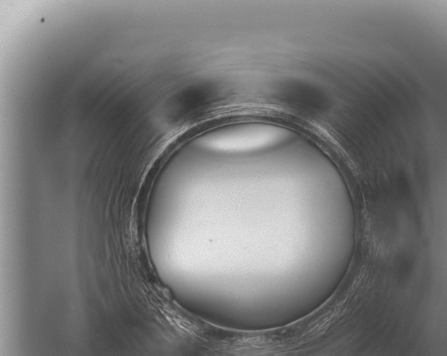 X0000059800883200510281636