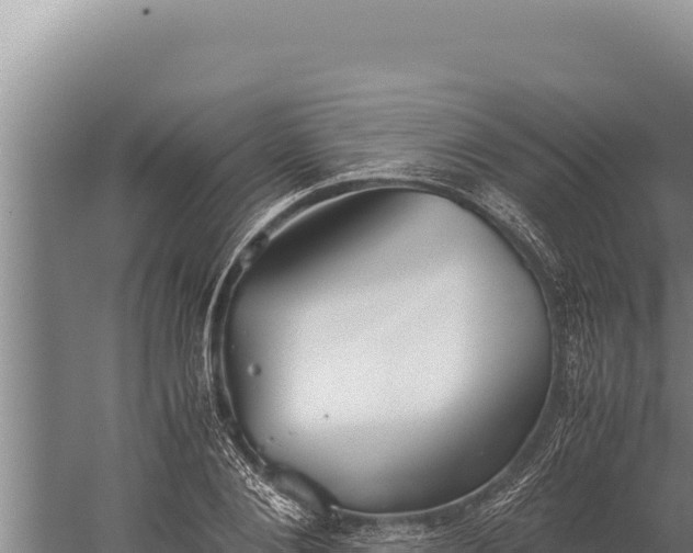 X0000059800884200510281636