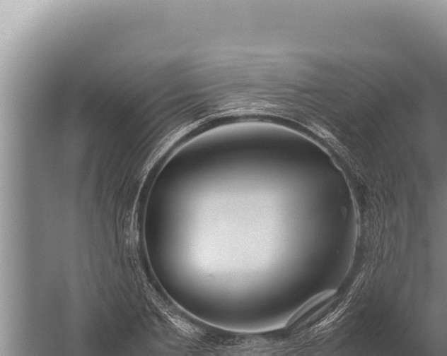 X0000059800885200510281636