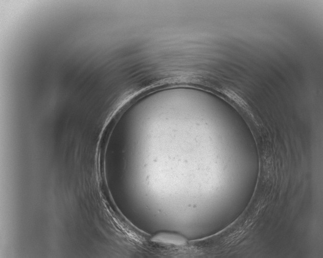 X0000059800886200510281636