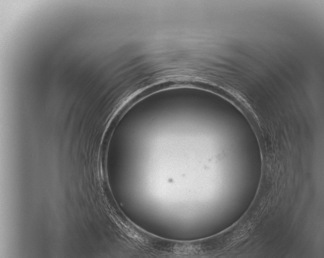 X0000059800887200510281636