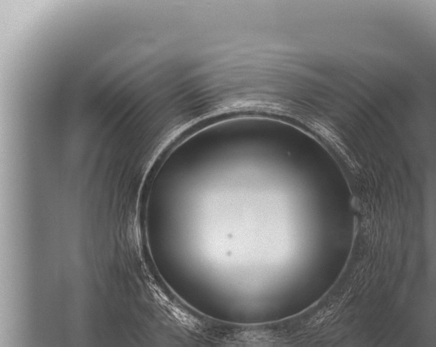 X0000059800888200510281636