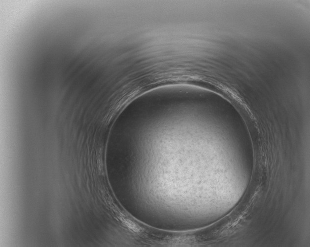 X0000059800889200510281636