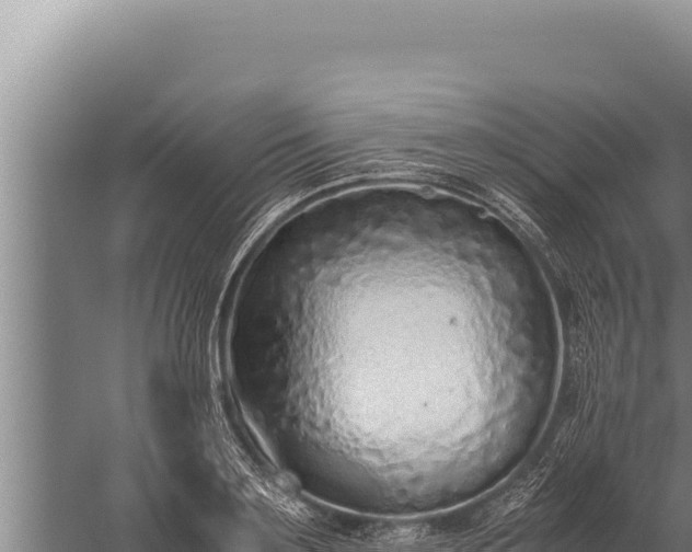 X0000059800891200510281636