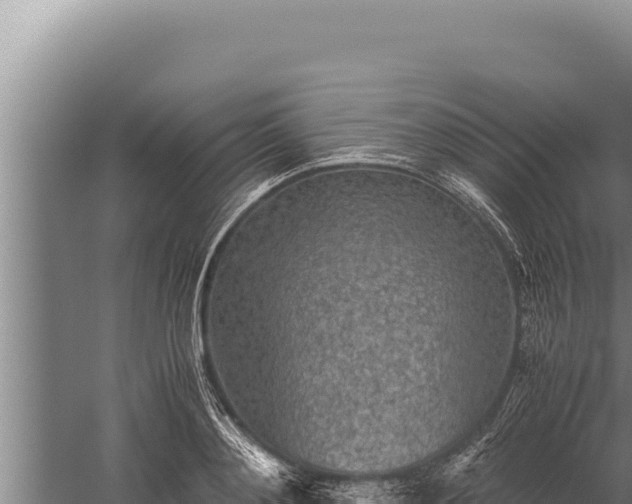 X0000059800892200510281636