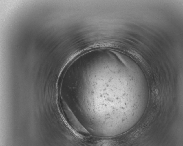 X0000059800894200510281636