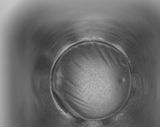 X0000059800895200510281636