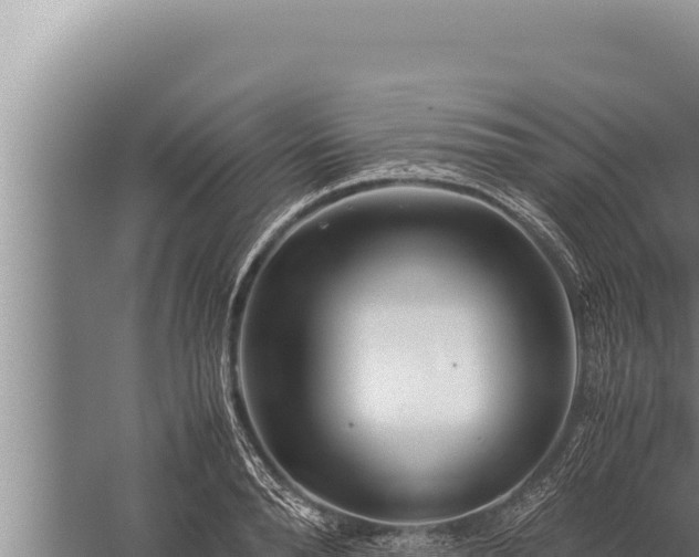 X0000059800896200510281636