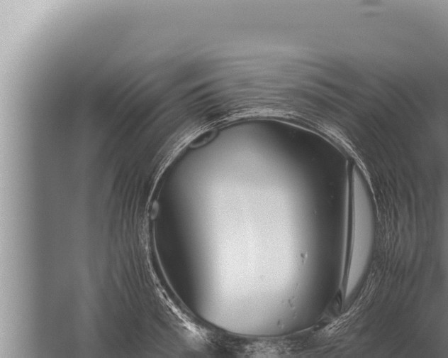 X0000059800898200510281635