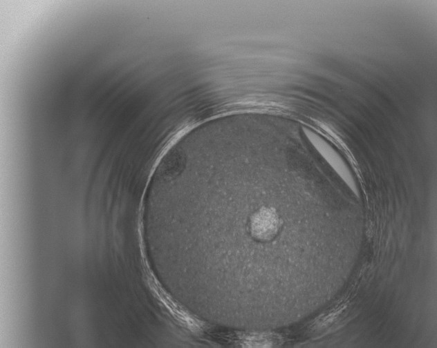 X0000059800899200510281635