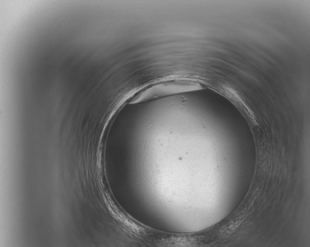 X0000059800900200510281635