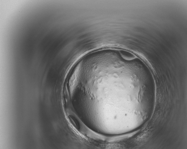 X0000059800903200510281635