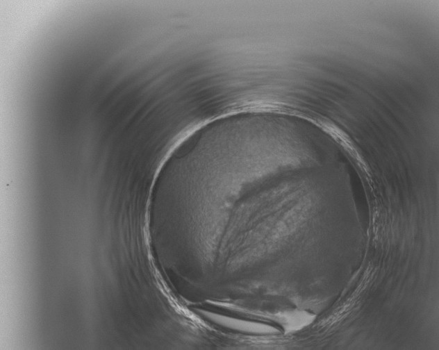 X0000059800904200510281635