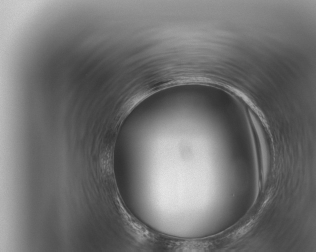 X0000059800905200510281635