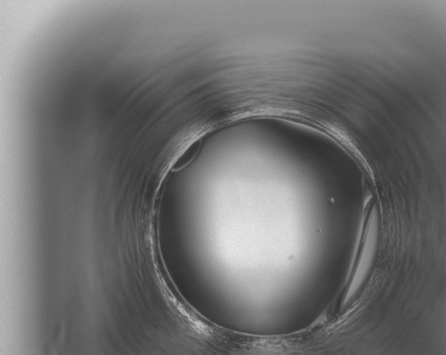 X0000059800906200510281635