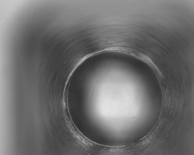 X0000059800908200510281635