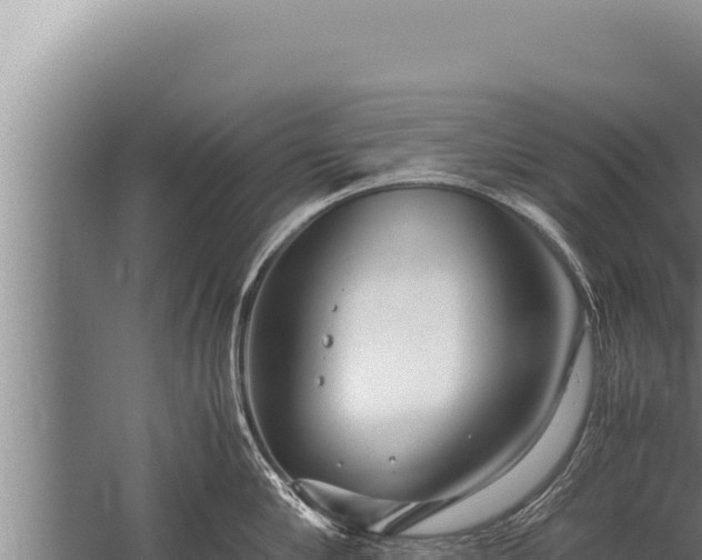 X0000059800910200510281635