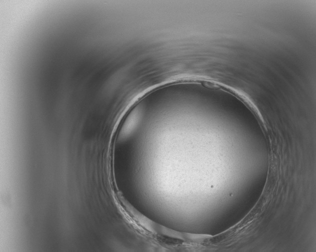 X0000059800911200510281635