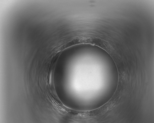 X0000059800914200510281634