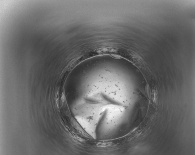 X0000059800915200510281634