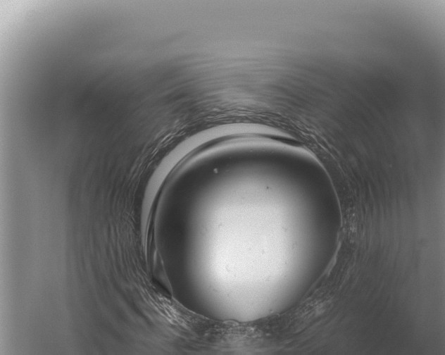 X0000059800916200510281634