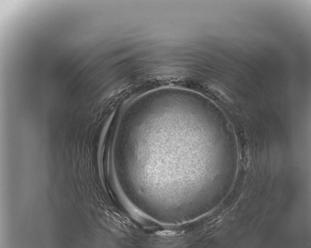 X0000059800917200510281634