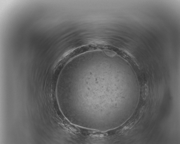 X0000059800919200510281635