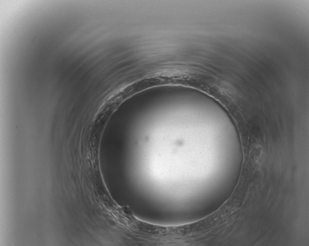 X0000059800920200510281635