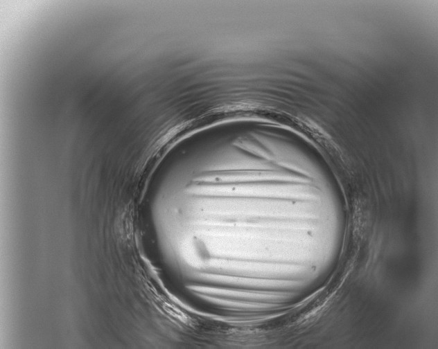 X0000059800921200510281635