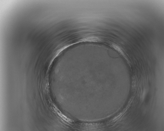 X0000059800923200510281635