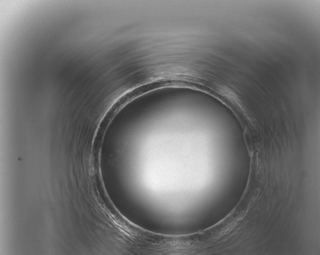 X0000059800924200510281635