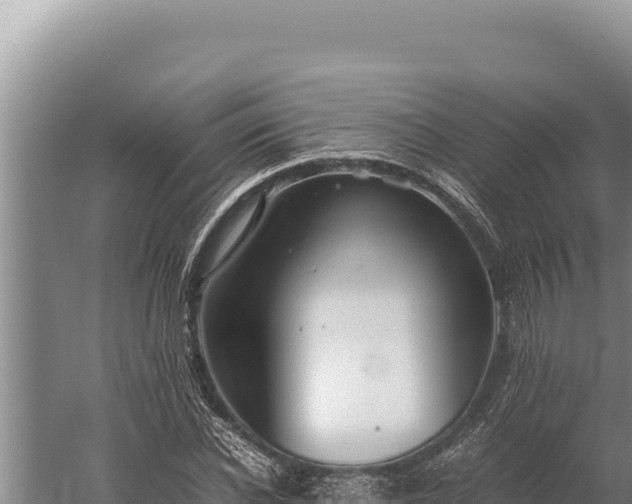 X0000059800926200510281635