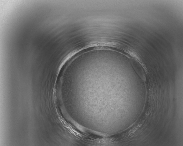 X0000059800928200510281635