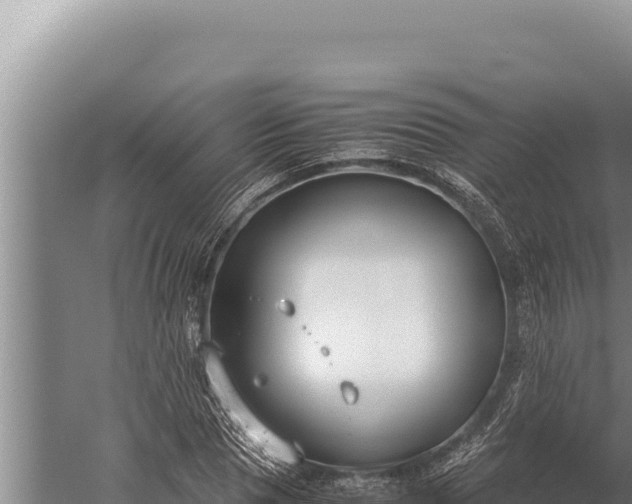 X0000059800929200510281635