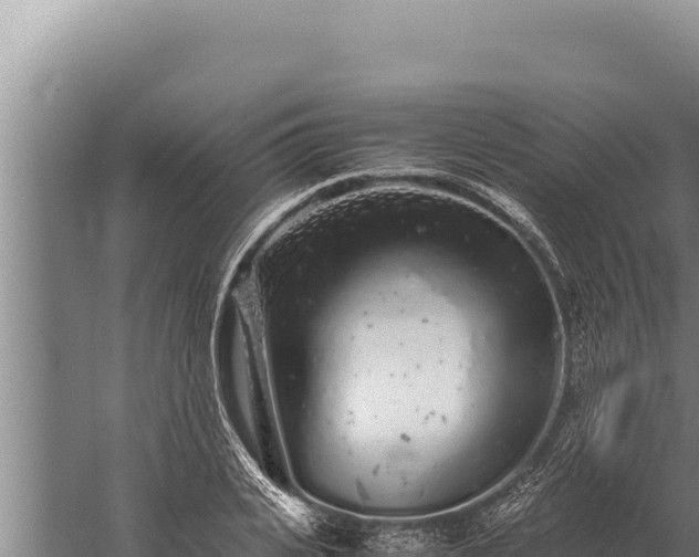 X0000059800935200510281635