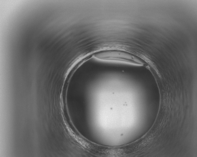 X0000059800936200510281635