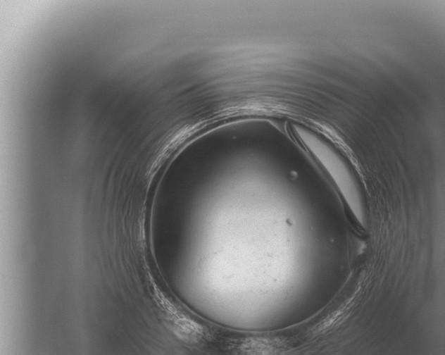 X0000059800938200510281635