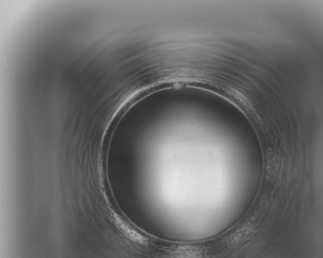 X0000059800942200510281635