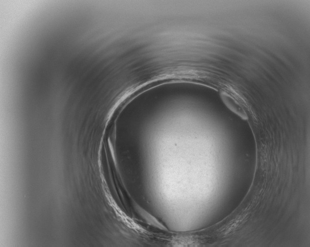 X0000059800944200510281635