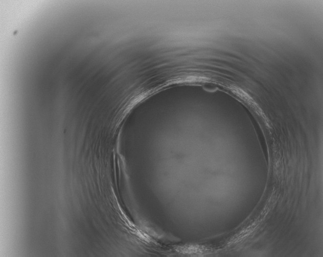 X0000059800945200510281635