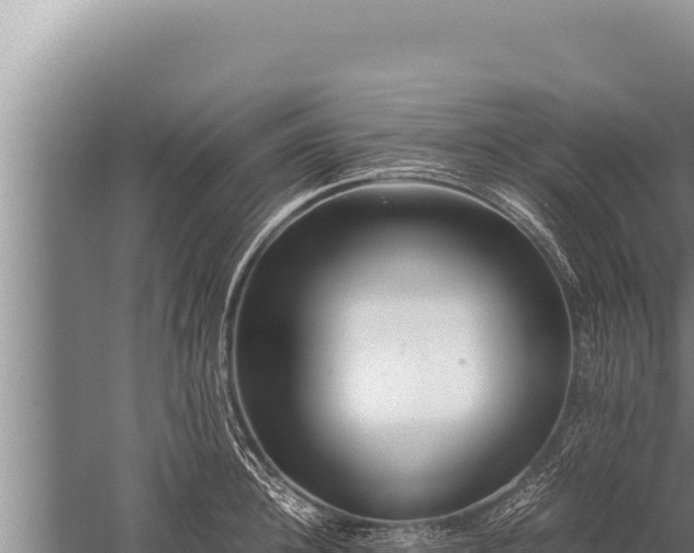 X0000059800948200510281635