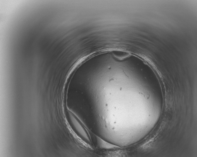 X0000059800949200510281635