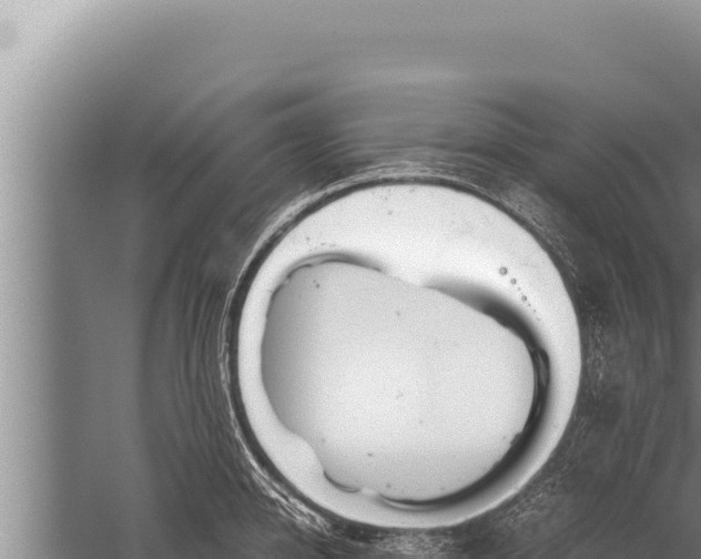 X0000059800950200510281635