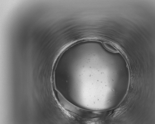 X0000059800951200510281635