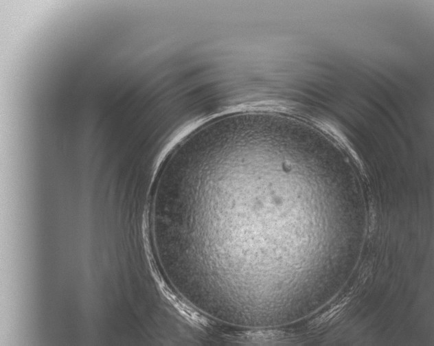 X0000059800952200510281635