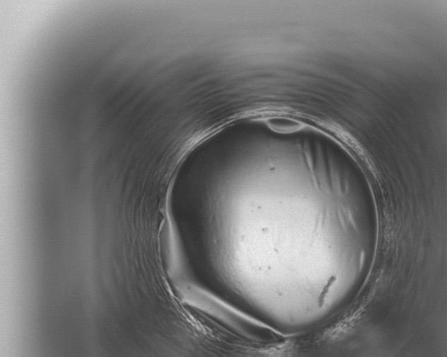 X0000059800953200510281635